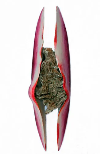 Capoll (Metamorfosi)